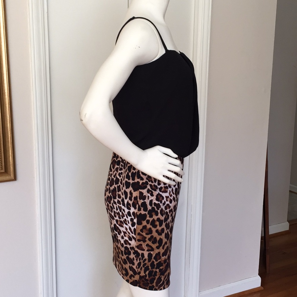 Cache dress - Picture 3 of 6